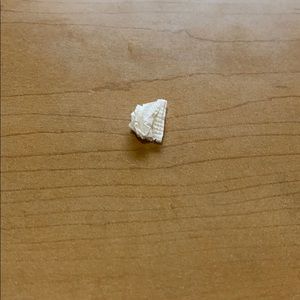 Meet your Posher, Evan